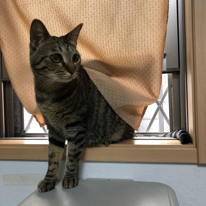 0f68a65c 9965 475c 9954 d98c79b594ec 1525361338117