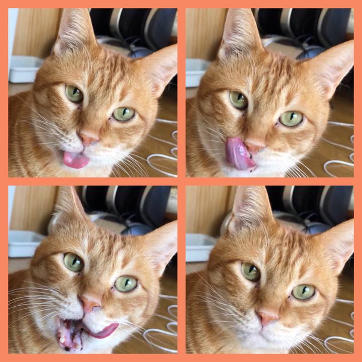 0f68d0cf f8ca 4ff8 8c30 1c659e977620 1592007625510