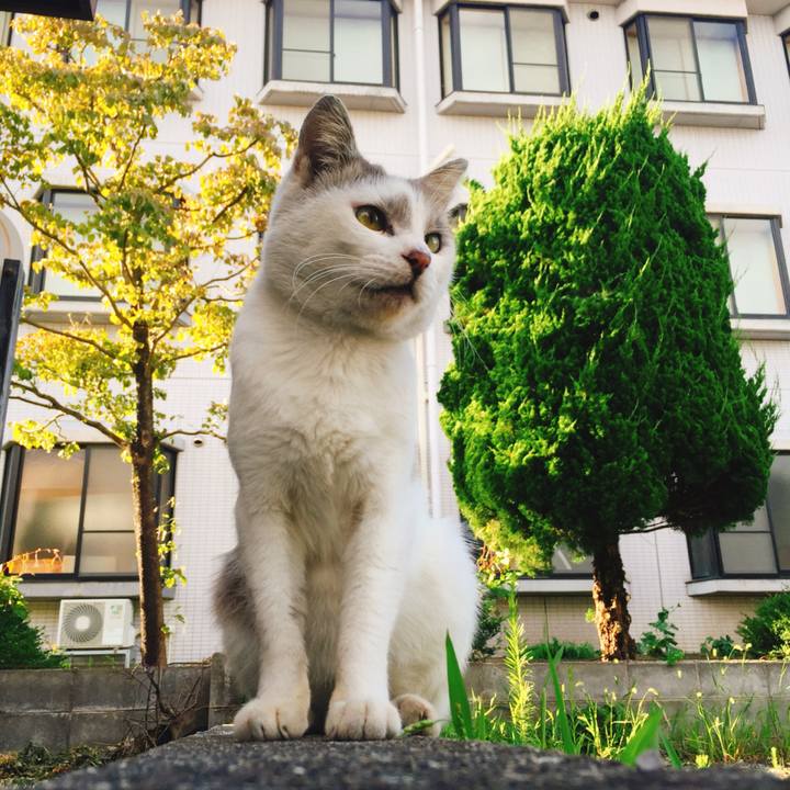 0f69036a 15d3 4b94 9ffa 5e7cadcf6405 1522842384902