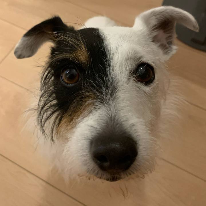 0f693fd2 b1f8 4213 bb92 f6471b0974c6 1619950812273