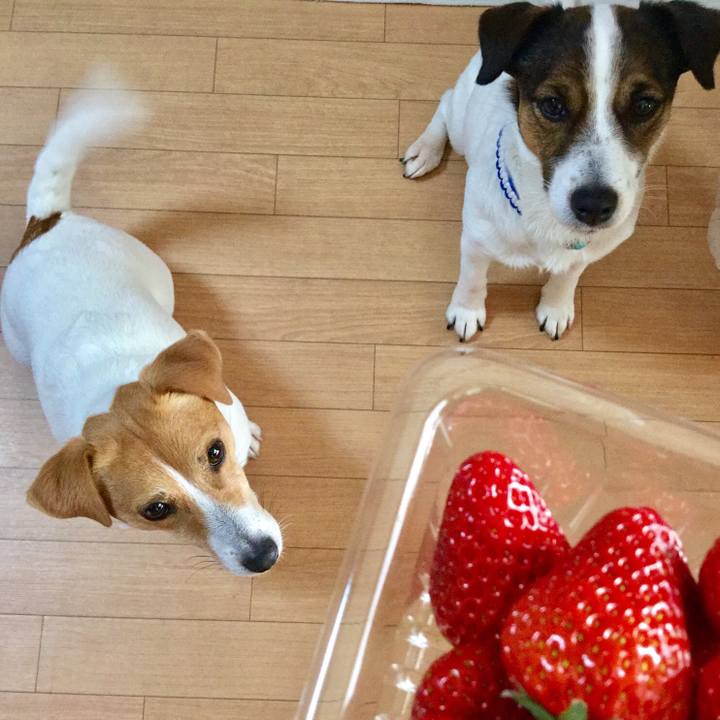 0f695b3d b964 4d8b a4df b6046739e7e9 1554190690724