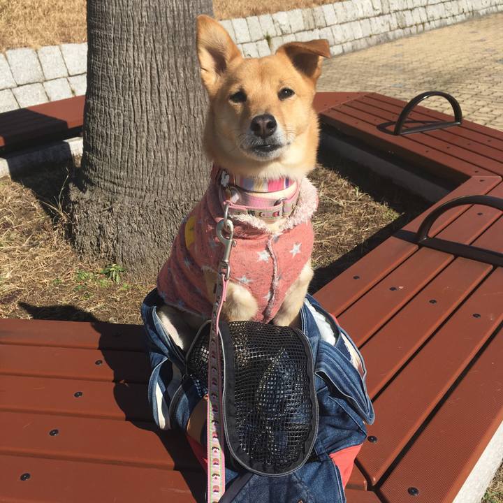 0f697723 b29f 4f9e 866d e985cdaca09c 1517974644363