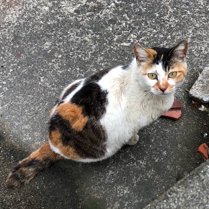 0f698b98 66eb 461f 9218 35ab0e560d65 1525790709507