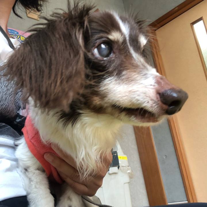 0f69918c 91ca 4376 bb01 323668ecbf59 1623897796280