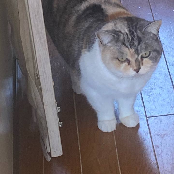 0f69972f 2579 427e b3dd 2d5184d03223 1674953343351