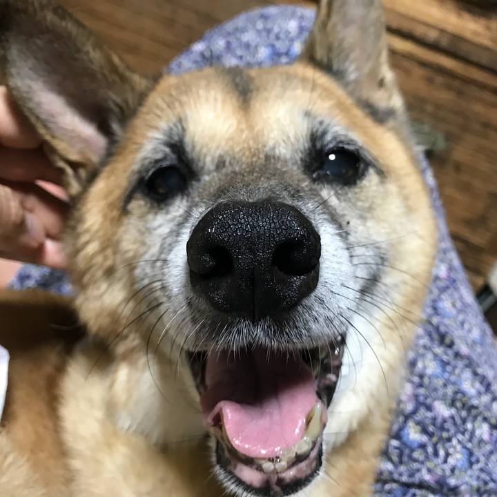 0f69ef47 e632 4d8b 8049 b7f9503ee6ab 1535367908883