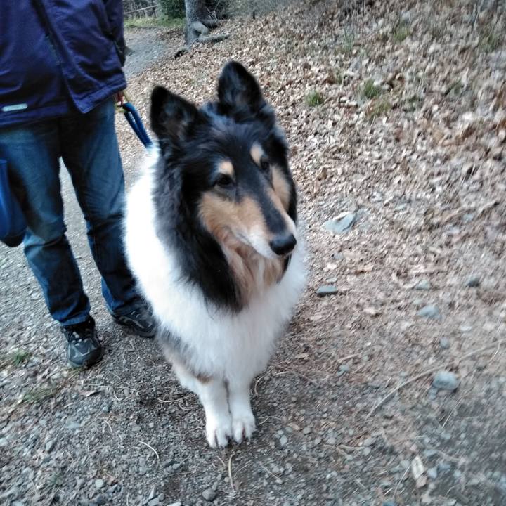 0f6a6fd4 84a4 438c 8482 aa66203482c9 1521208647034