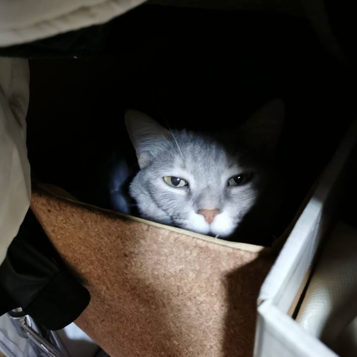 0f6a92ba 9994 4fac 9aa3 5121dcb27a42 1676173711084