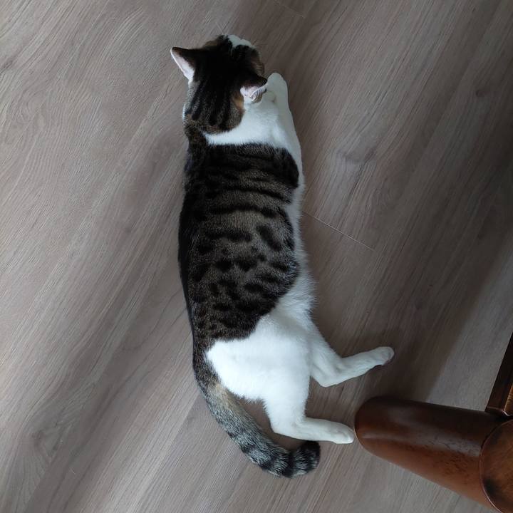 0f6aa677 2499 4940 af06 234392d3f7fb 1654296010348