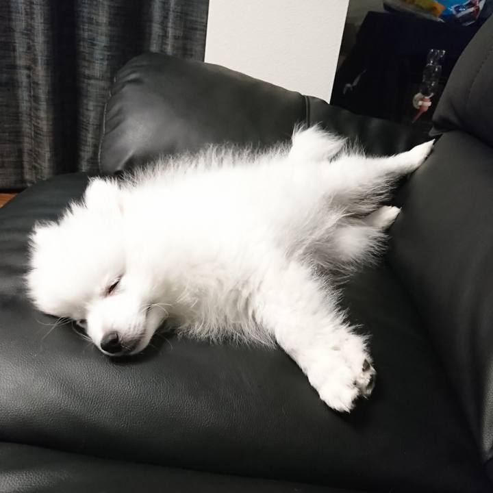 0f6aa9b1 2ae7 481f 8c95 de7d29c50547 1547219721492