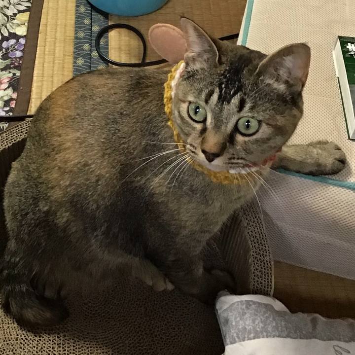 0f6aad0a ac06 4952 9986 88ce15572072 1622788646797