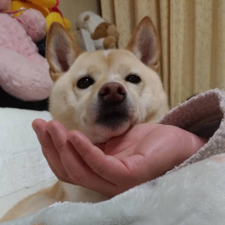 0f6ab031 2e53 4276 bd61 f81b15332895 1608896377301