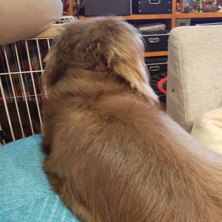 0f6ab77e f5e4 487e bb3d 60ba146feb81 1591176830136