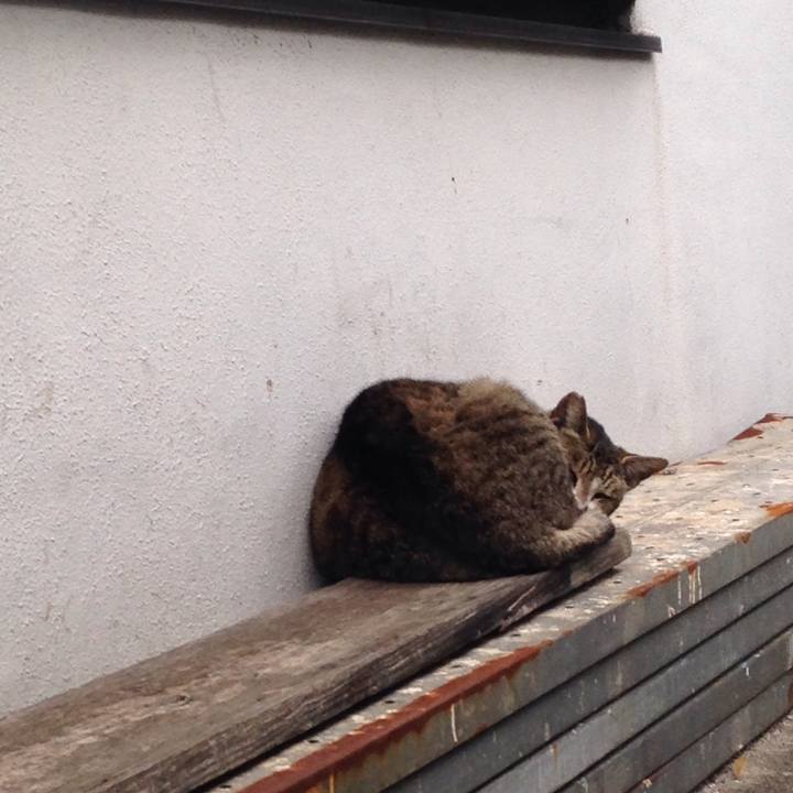 0f6ae43a f562 4efc a6c3 bf4facbf529a 1508326767168