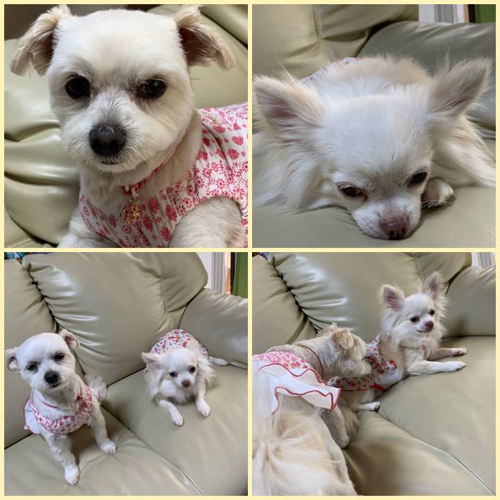 0f6aff48 6f73 4ac3 993f 37201531776f 1590816743370