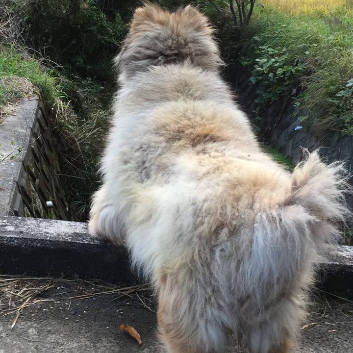 0f6b41e2 2f34 445b 8182 dce0a74cc719 1594618583012