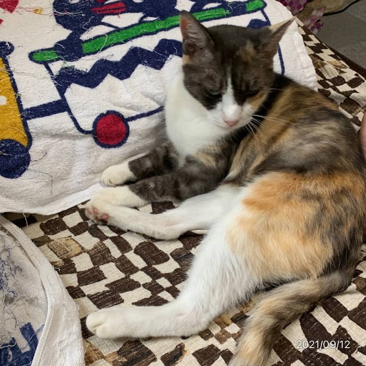 0f6b4ea4 79d6 465e bbd0 808675d9461f 1631399611869