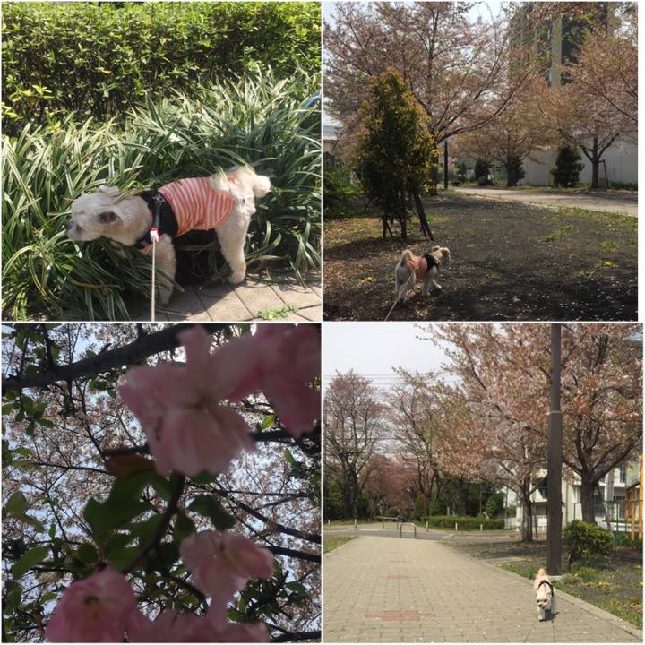 0f6b56fc 7195 44a5 b9b0 9d4bf4fb8946 1522668652628