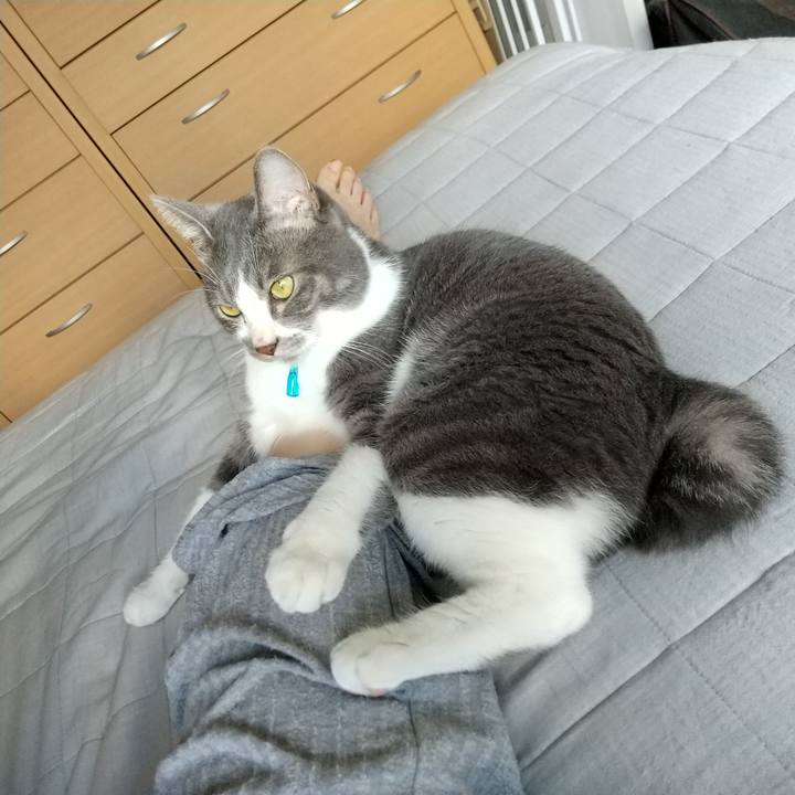 0f6b6f2c 687c 4772 8059 229380f16ef6 1627169174351