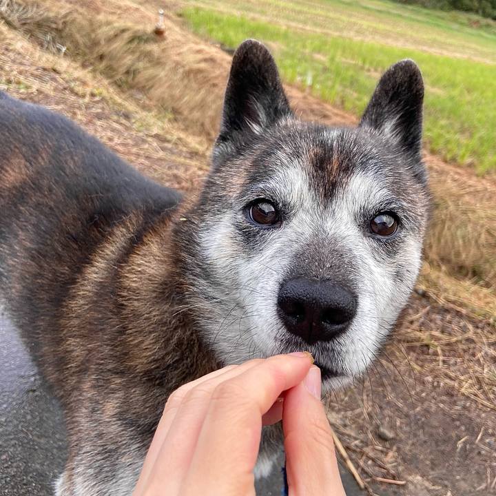 0f6b7264 3656 4e88 b9e8 e515b6800334 1730252558531