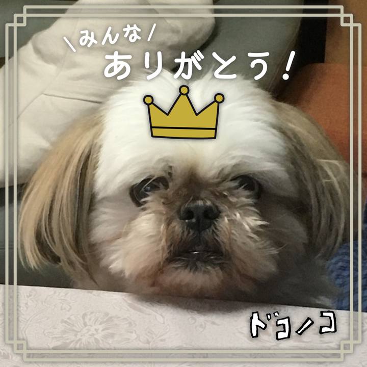 0f6bb1db 0f91 4ccc 9130 f84fb0305aa1 1622874431923