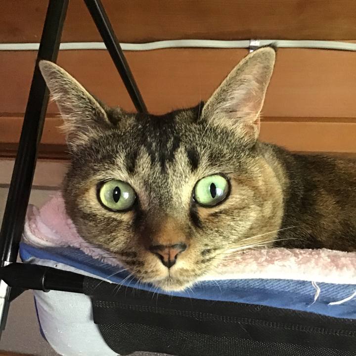 0f6bb2ce a58a 40a8 bdf9 464e3cc05dfa 1689940002589