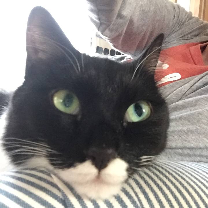 0f6bd22e b2f3 4190 890c 8b8cc7897a4d 1524992219889