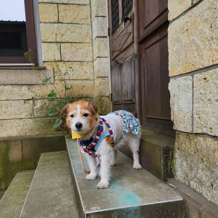 0f6c767b 1ae2 43d0 8055 c2d6bb16a3bd 1748068718865