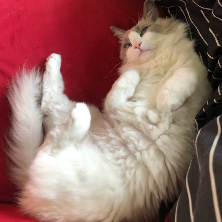 0f6c9e36 cac1 48b6 8581 a8aa55c55765 1574654230665