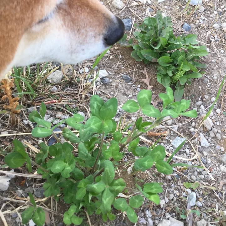 0f6ce26f 8f84 4115 94a3 9e8242694990 1558949007019