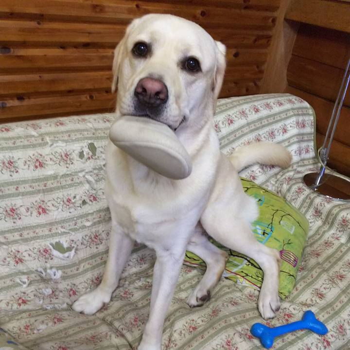 0f6ce398 9316 4873 8e30 de6b2da003c8 1537861068885