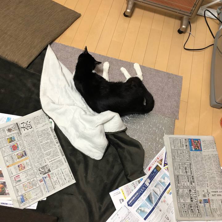 0f6cf615 6084 4a6f b41e 9a2cb68eb217 1550817033730