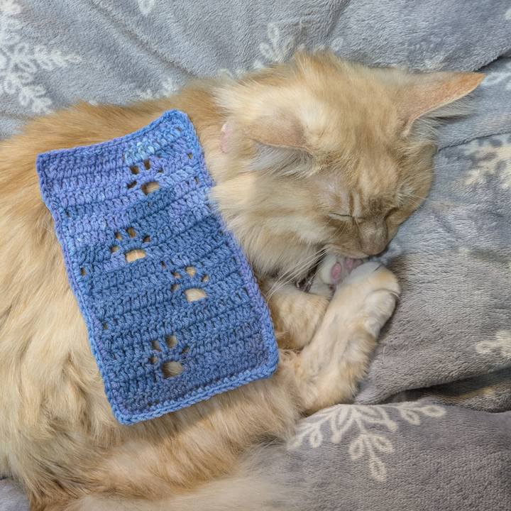 0f6d4922 5d64 4d47 914c a0b841cf2d2c 1767022259297