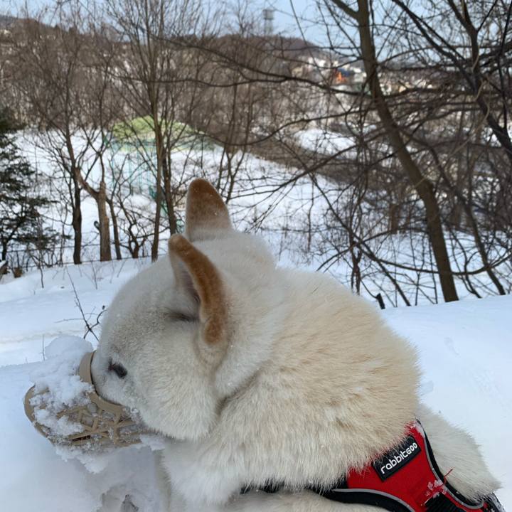 0f6d594b 6168 491c beed 5a1e38606ce7 1613277696322