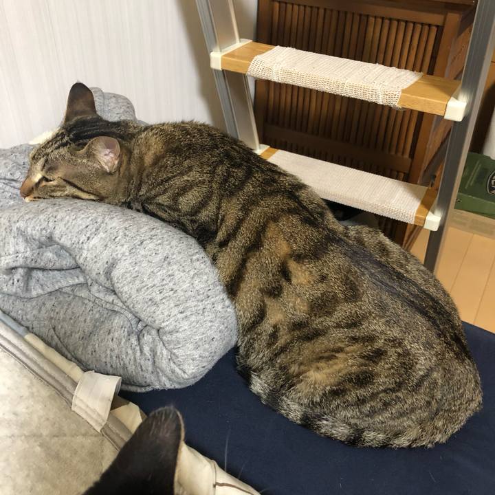 0f6d9671 db9e 4232 a5a6 b9f984b1e7c0 1559161339848