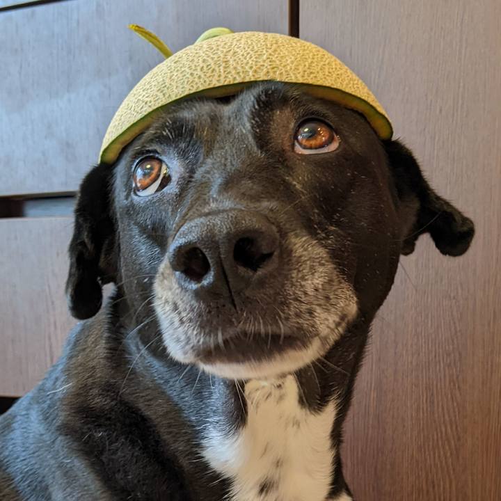 0f6d9e57 3bb6 4147 aca7 fd60e153b098 1721781155014