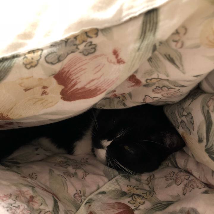 0f6daf9c b10d 4a1e 93e9 2b7e0097933e 1525318191873