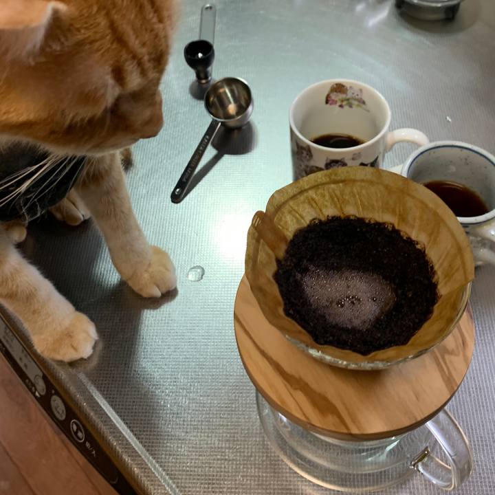 0f6db1fc 0fff 4c6c 90a1 5b93868dbd4d 1654644152573