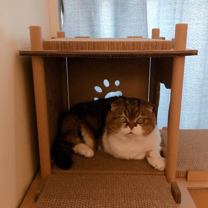 0f6e1e93 25c0 4205 b3c9 cddb12e2260a 1597850215758