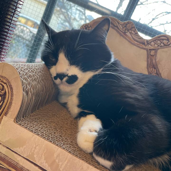 0f6e2745 316b 460b 8b81 4a6c1f26dba7 1677018787574