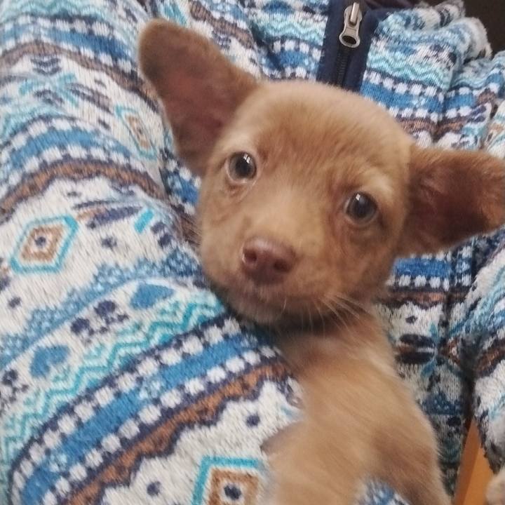 0f6e2b0b c0a5 4974 bde8 943509c0f870 1732627439741