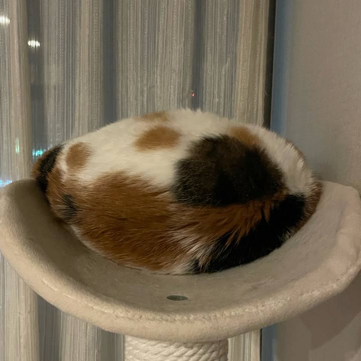 0f6e40b5 9386 4596 a6b5 8aa7cc70fbe7 1714911468384