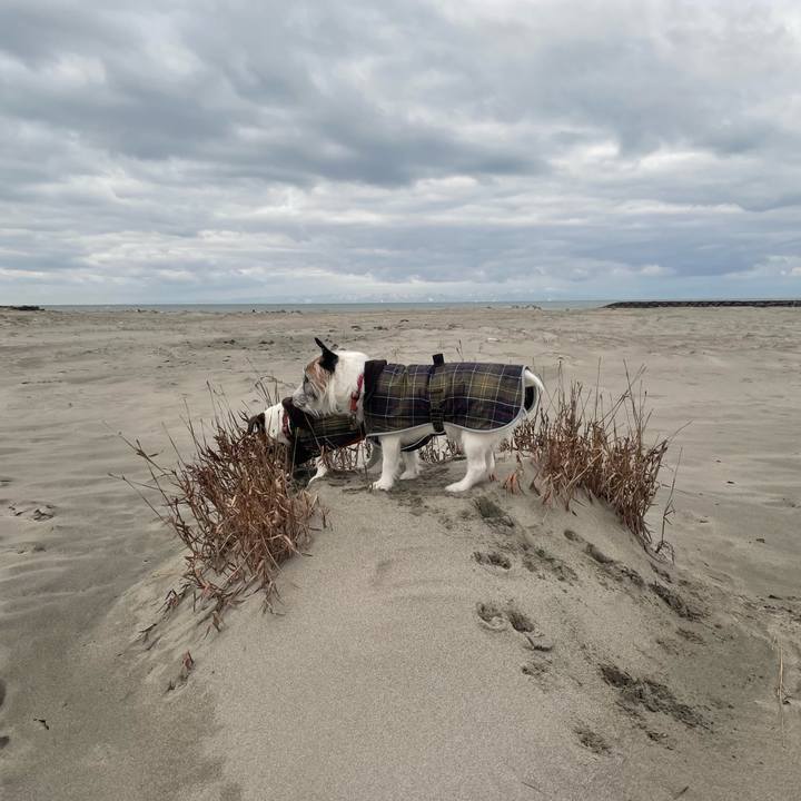 0f6e80a8 6916 47fd 9f99 6990d624ad0a 1739316584042