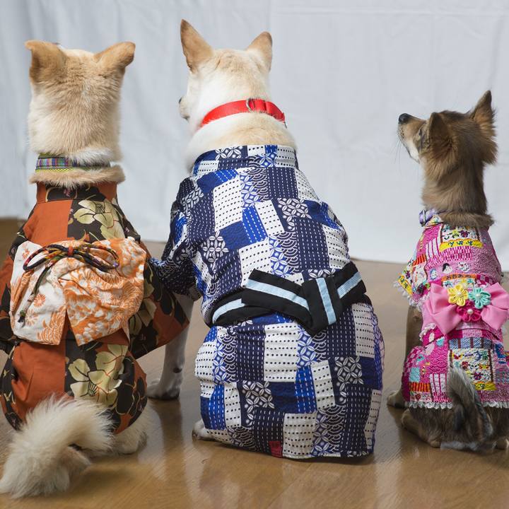 0f6ea32d e709 4cc0 9d7d e83e3b9e2545 1528673411301