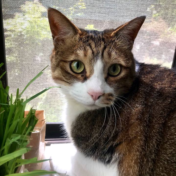 0f6f0294 73ea 4bca b483 344cd8489ed2 1619055390187