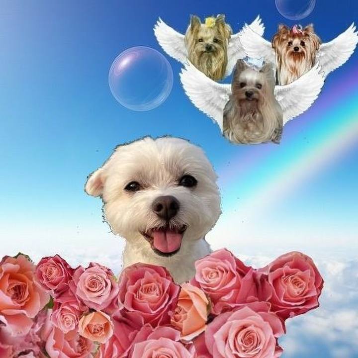 0f6f1142 3d7c 4c6f b245 4feb67005de3 1707116662988