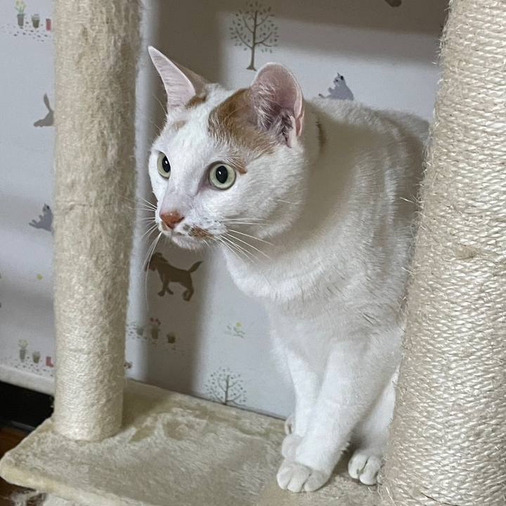 0f6f1a14 e6f2 496f b9f5 a5815d1103ee 1645288941562