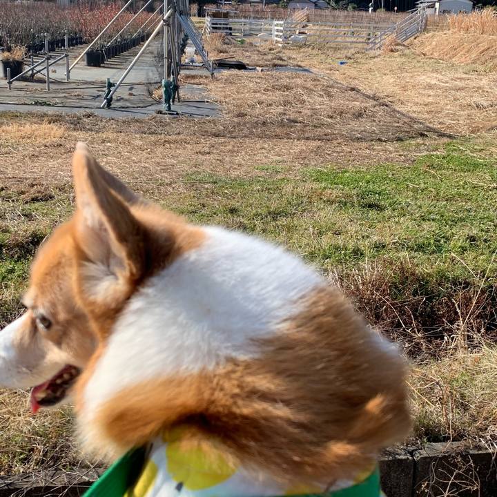 0f6f20cd fd50 49ac 9d7f 776cbec872b0 1703739014380