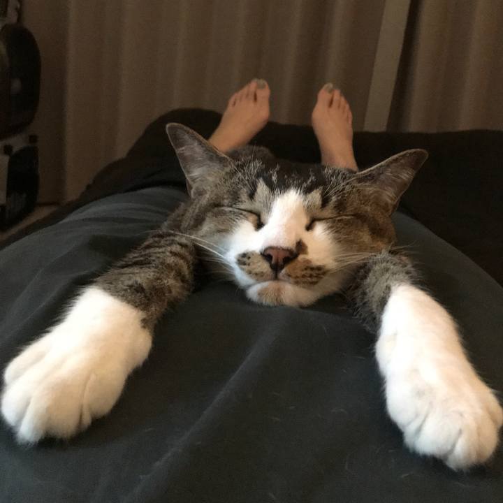 0f6f4bf8 1c62 4eba aedb e047e8f809aa 1594450513170