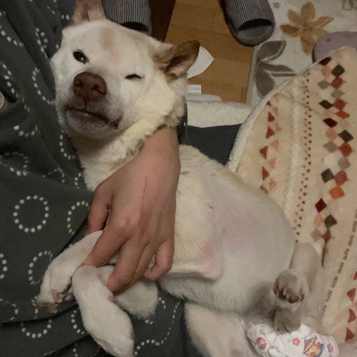 0f6f60a5 757e 4a5e ad1a bcc587fa5b10 1675188888694